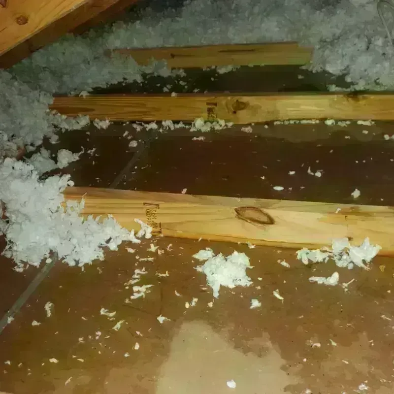 Attic Water Damage in Jesup, IA